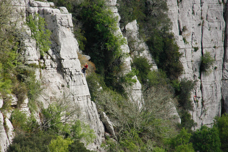 Escalade Grande Course